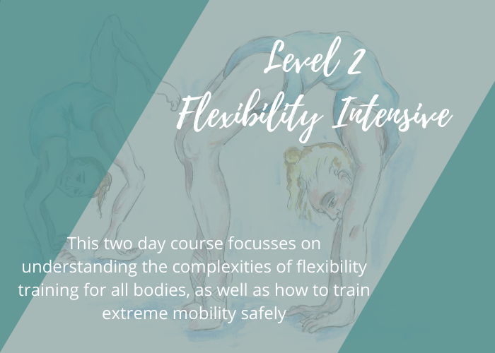 Flexibility Intensive Lisa howell Ballet blog