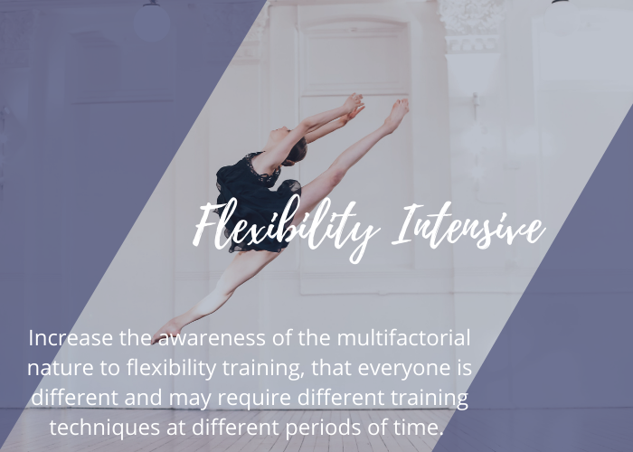L2 Flexibilty Intensive - Product Image - Dance Teacher Training - Lisa Howell - The Ballet Blog