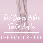 Foot bones series poster