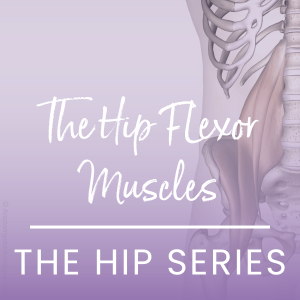 the hip flexors