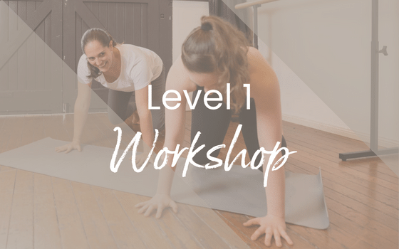 Level 1 workshop Lisa Howell Fundamentals in person